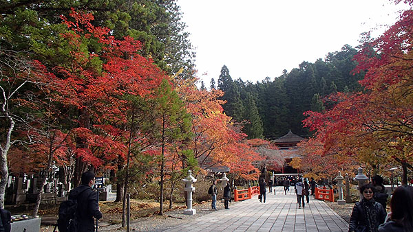 高野山の紅葉